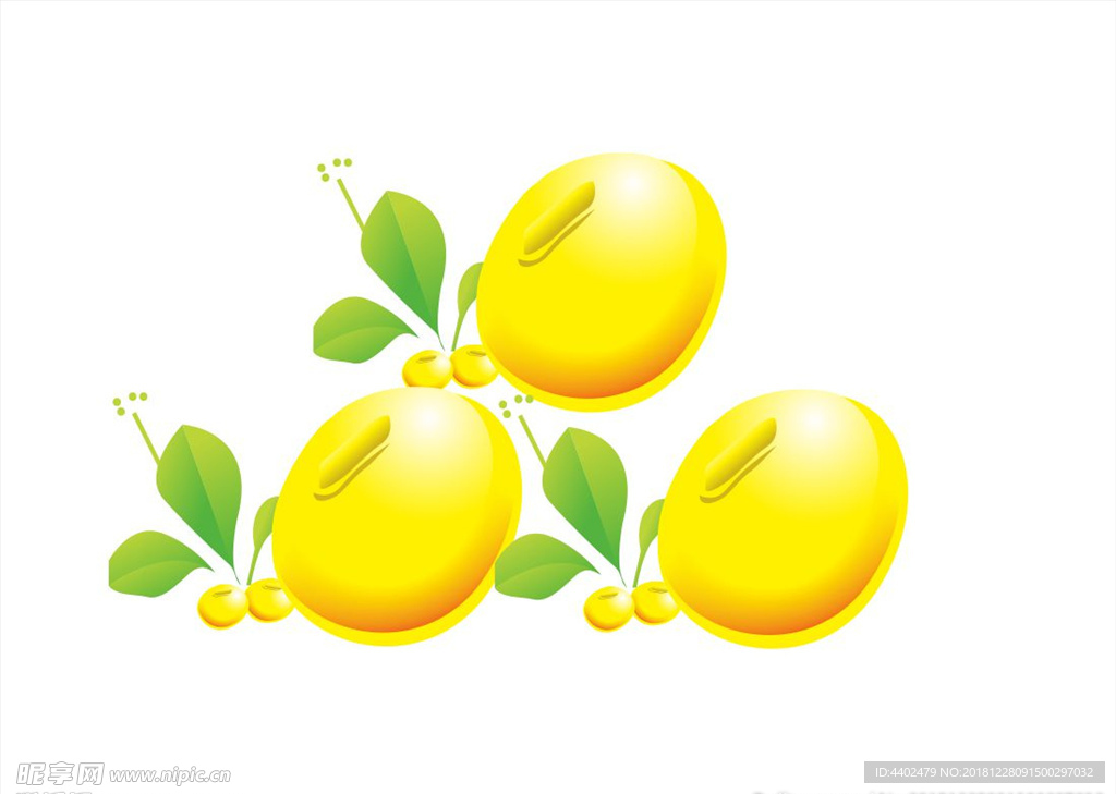 矢量黄豆