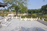公园小岛上的园林景观