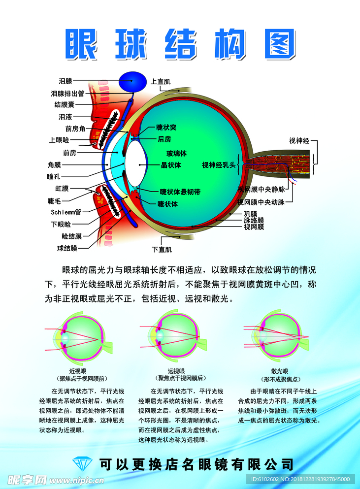 眼镜店 视功能 眼球结构 挂图