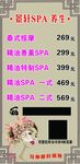 SPA养生海报