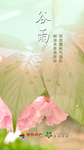谷雨