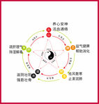 金木水火土养生太极矢量图