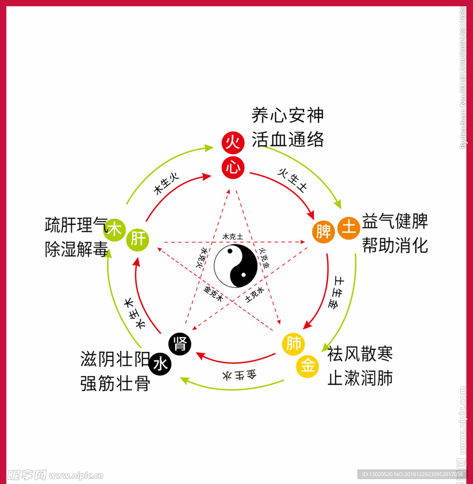 金木水火土养生太极矢量图