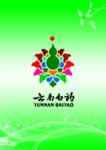 云南白药图册