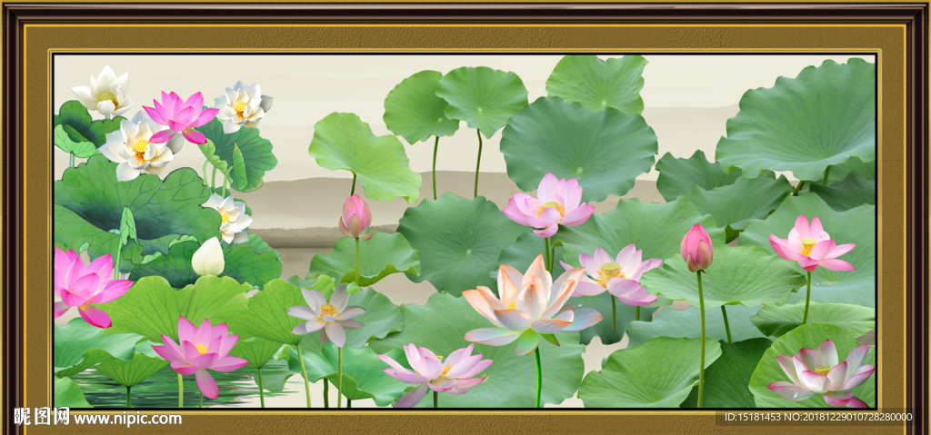 国画荷花