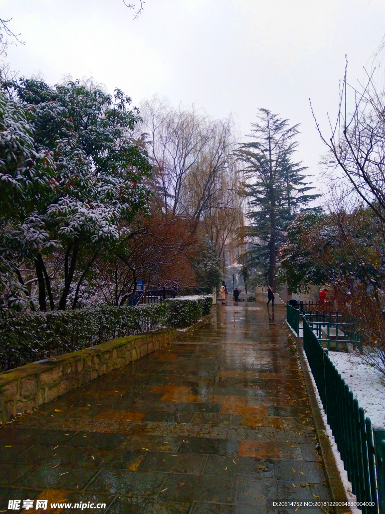 冬日里的公园风景