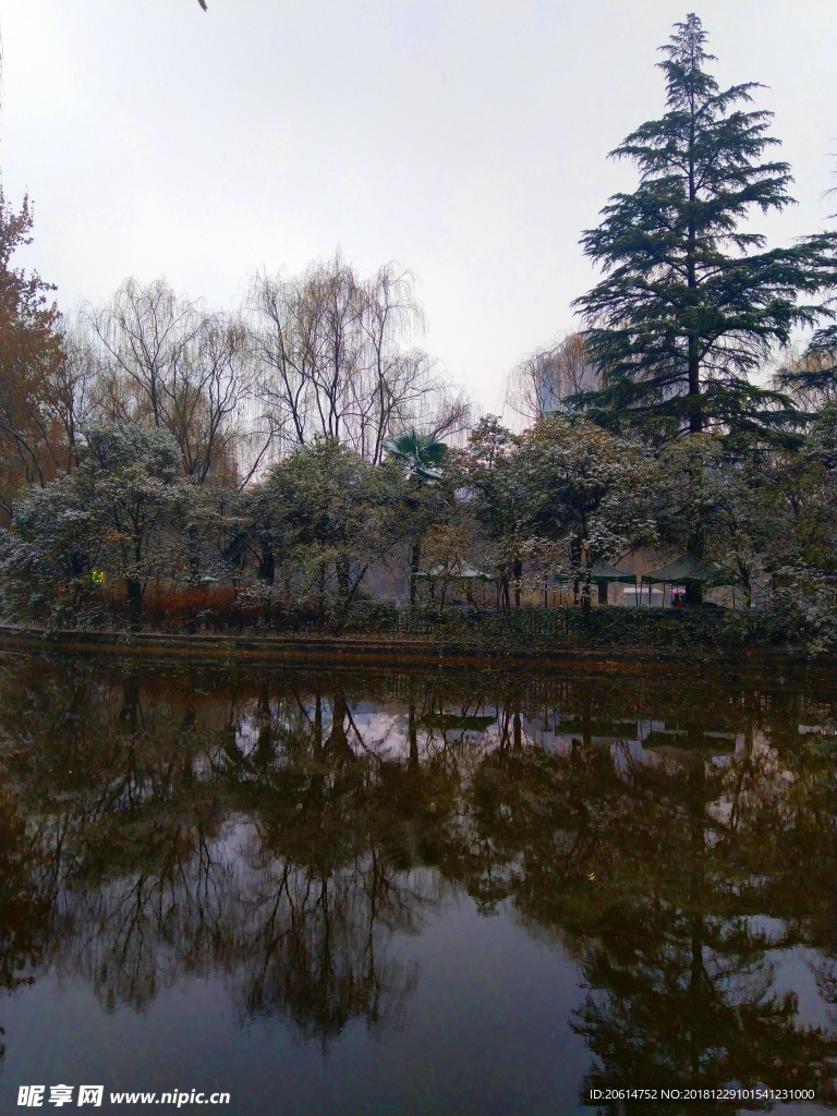 美丽的公园湖泊风景