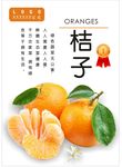 桔子海报