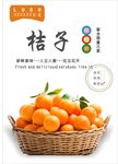 桔子海报