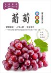 葡萄海报