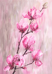 精美粉色桃花花朵油画