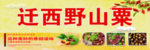 毛栗