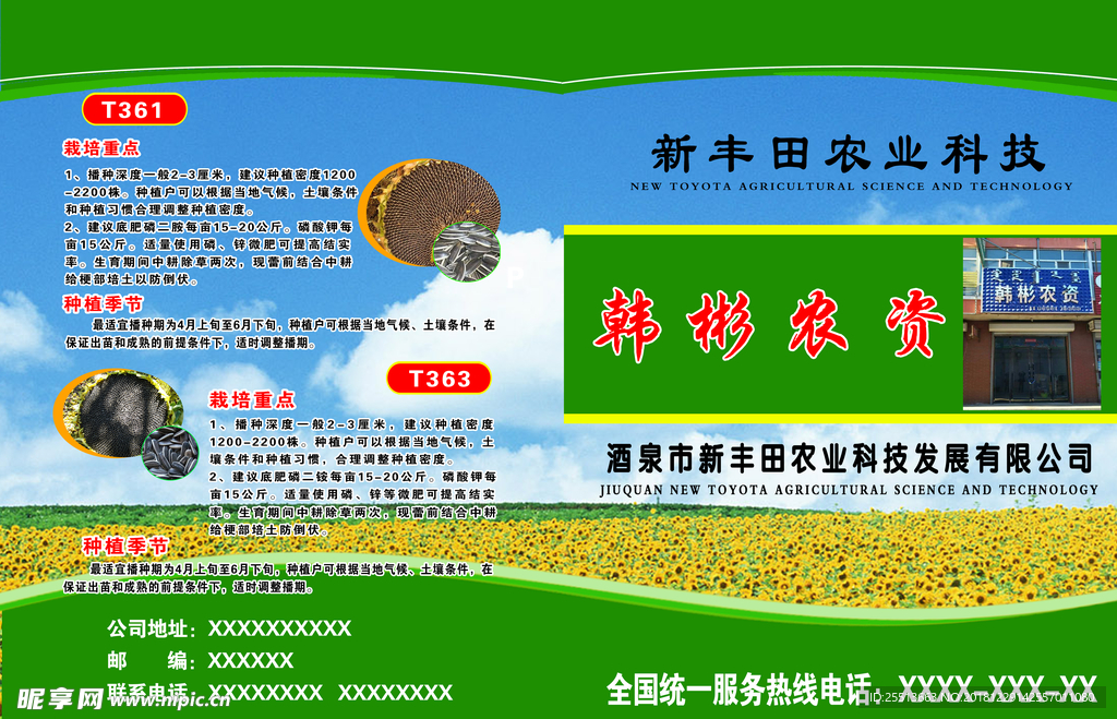 种子传单