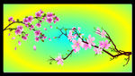 梅花