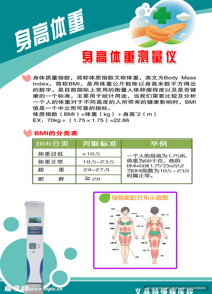 身高体重