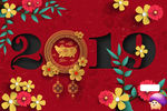 2019 猪 炫彩 花 祥云