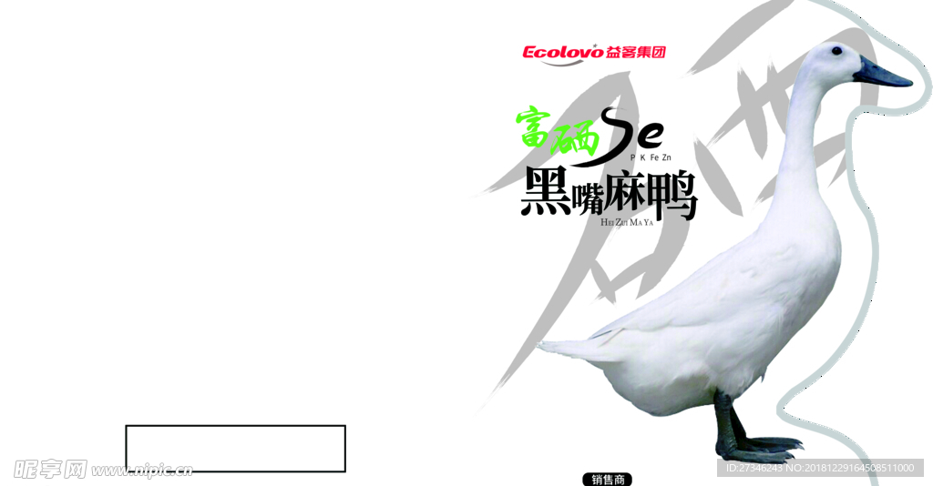 黑嘴麻鸭