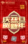 猪年元旦