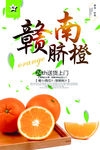 赣南脐橙