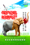 保护动物海报