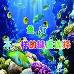 鱼疗