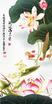 莲花