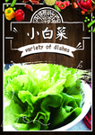 生菜