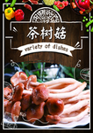 茶树菇