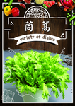 茼蒿
