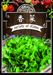 香菜