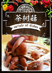 茶树菇