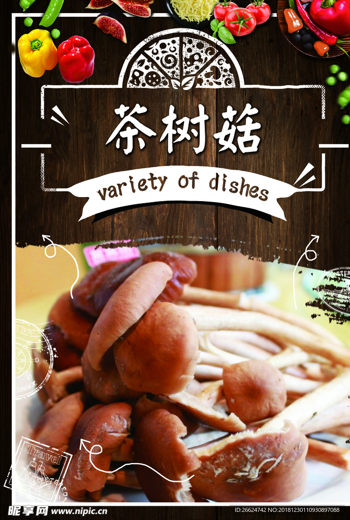 茶树菇