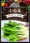 小白菜