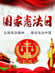 宪法——张生/少生/张少合制
