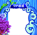 VIP通道