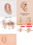 耳部结构解剖图矢量图