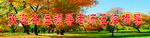 学校活动展板
