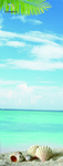 清新海滩背景