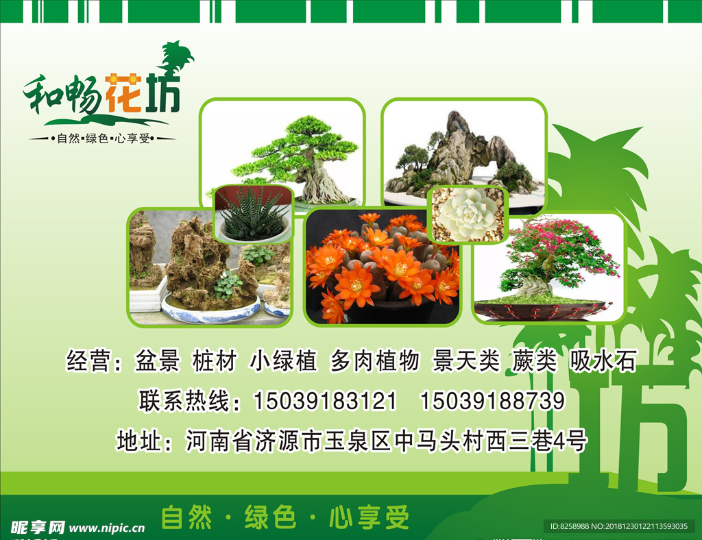 盆景盆栽