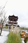 冬天塔