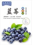 蓝莓海报