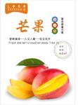 芒果海报