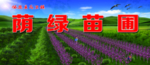 苗圃