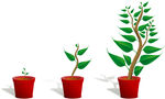 植物幼苗矢量素材