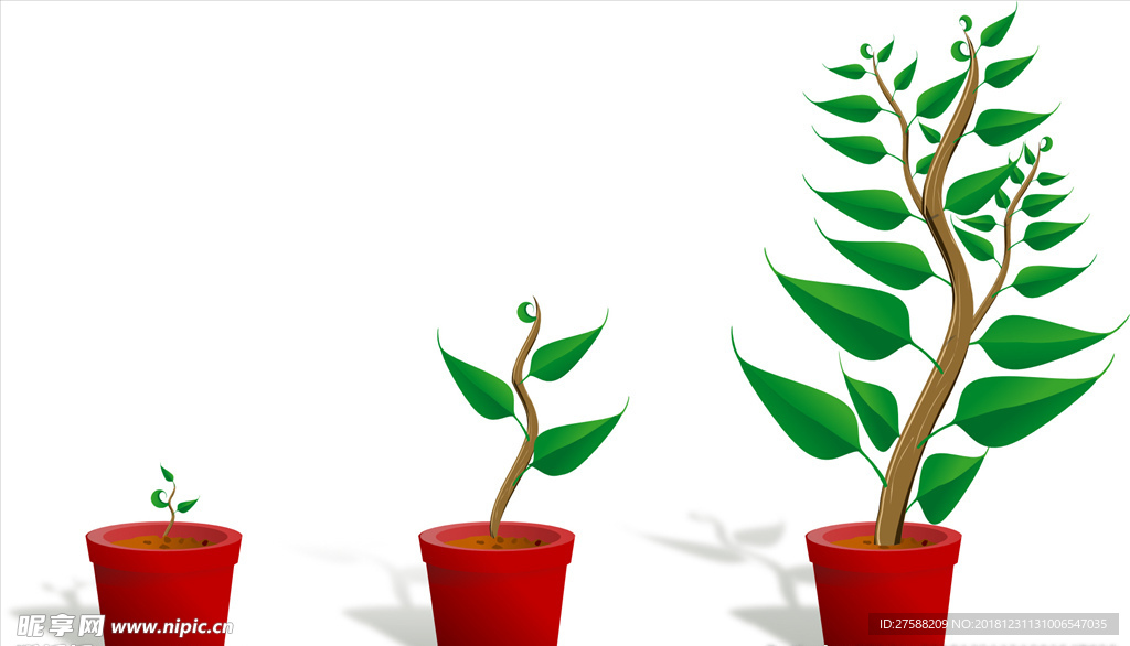 植物幼苗矢量素材