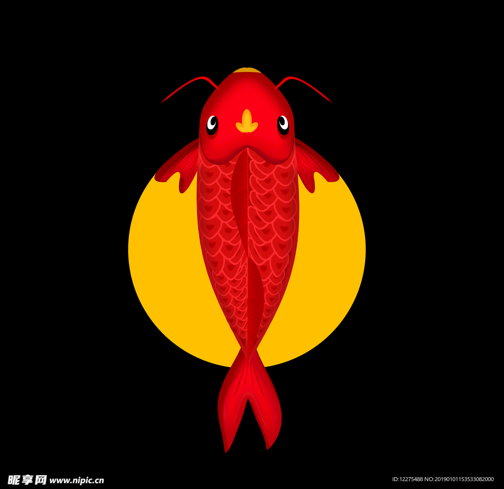 锦鲤