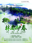 林都伊春
