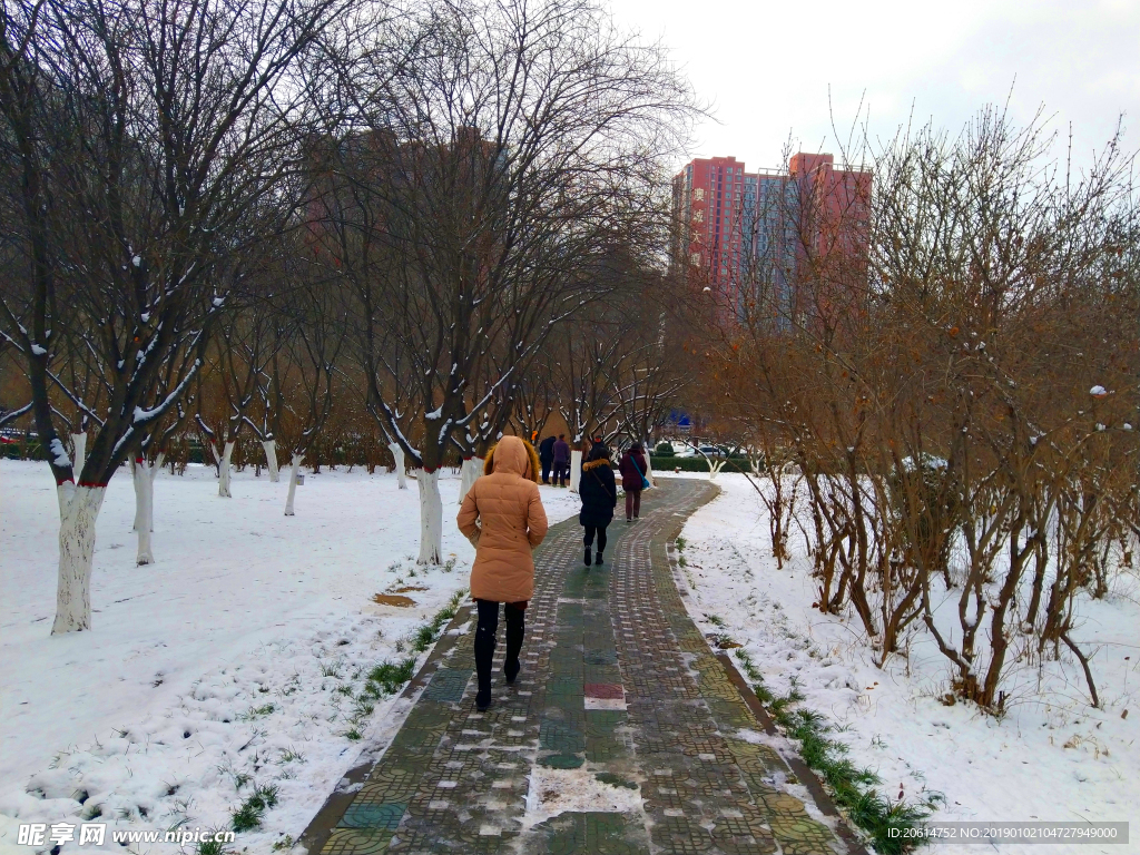 冬日里的街道风景