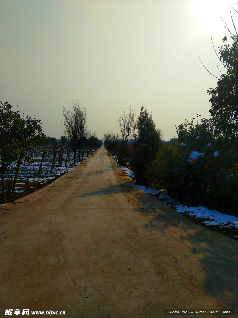 乡村街道风景