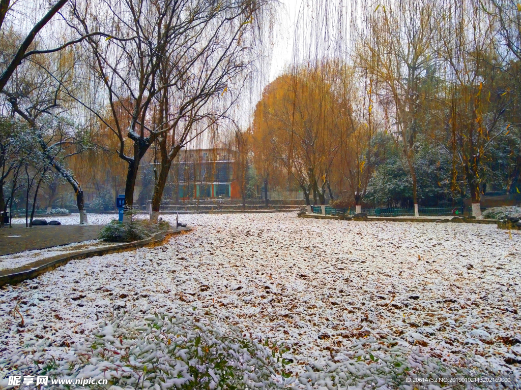 美丽的公园风景